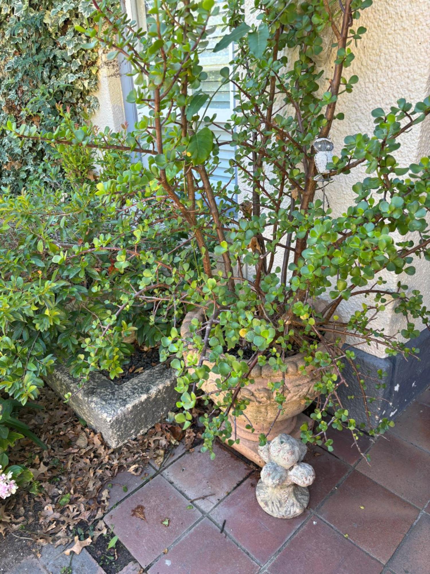 In The Vine Country Manor Guesthouse Stellenbosch Exterior foto